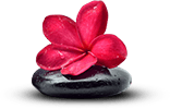 Decorative element